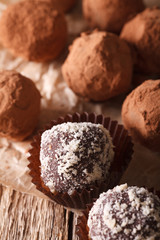 Chocolate truffles in cocoa and nuts macro on a table. Vertical
