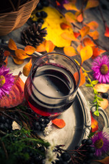 Fall kitchen cup tincture chokeberry wooden table