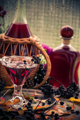 Gifts autumn kitchen sweet aromatic drink tincture chokeberry