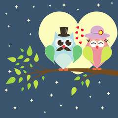 owls in love on branch. declaration of love