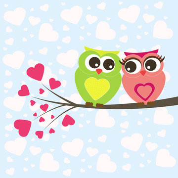 owl lovers valentine vector