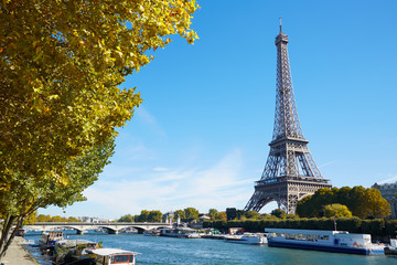 Fototapeta na wymiar Eiffel tower and Seine river view with yellow autumn tree branch