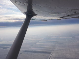 Winter flight