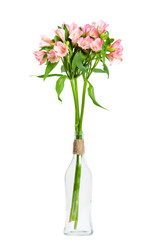 bouquet of pink alstroemeria in glass vase