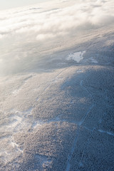 aerial view of the forest in winter time