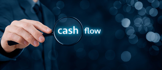 Cash flow audit