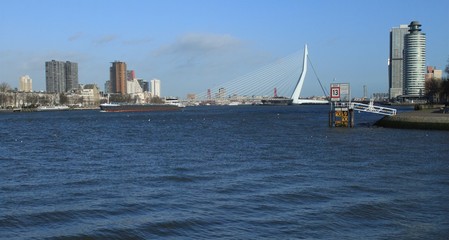 Naklejka premium Rotterdam, Blick von Katendrecht auf die Hafenstadt