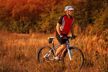 Naklejka premium Rider on Mountain Bicycle it the forest