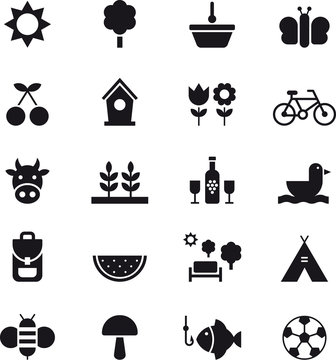 SPRING & PICNIC glyph flat icons