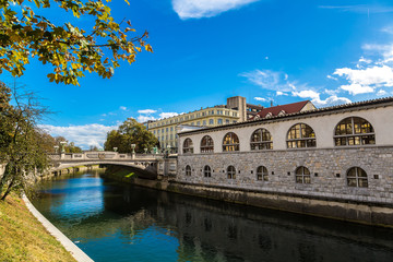 Naklejka premium Ljubljana river