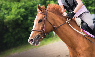 girl riding a horse