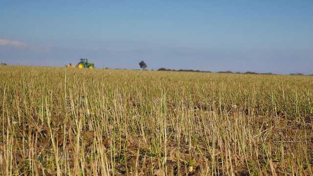 tracteur durant saison des labours et des semences