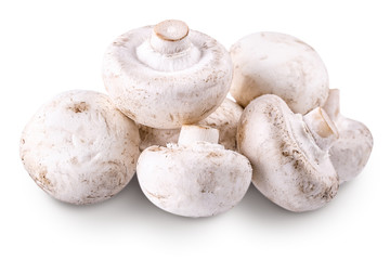 mushroom champignons