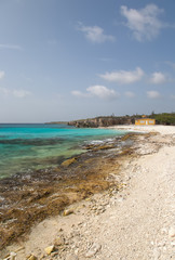 caribbean beach Bonaire island