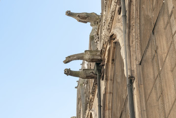 View of a typical French architecture with gargoyles sprouting of a church facade