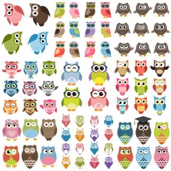 Obraz premium Funny Owls set