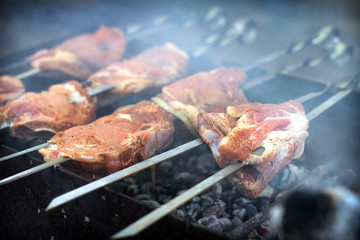 Shish kebab