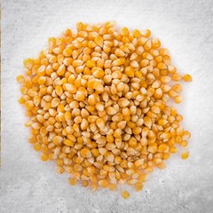 Corn of popcorn