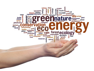 Conceptual ecology word cloud isolated