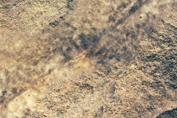 Rock background with earthquake crack