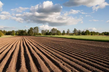 Selbstklebende Fototapete Land Blick auf ein gepflügtes Feld an einem schönen sonnigen Tag auf dem Land