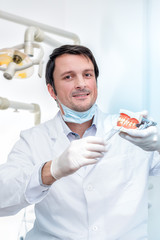 strahlender zahnarzt mit einem gebiss und zahnsonde