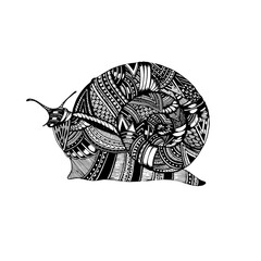 Hand drawn doodle vector snail illustration decorated with abstract ornaments.