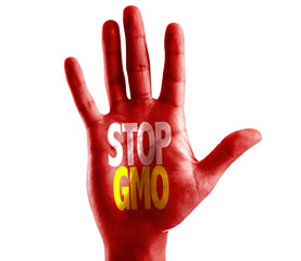 Stop GMO written on hand isolated on white background