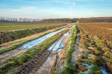 Fototapeta premium Dirt road with frozen puddles and tire tracks