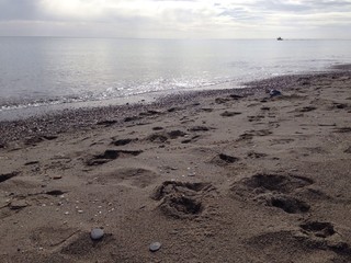 Orilla en la playa de un mar en calma