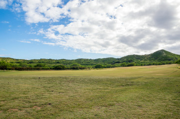 ダイヤモンドヘッド