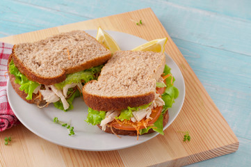Two sandwich with chicken on a white plate