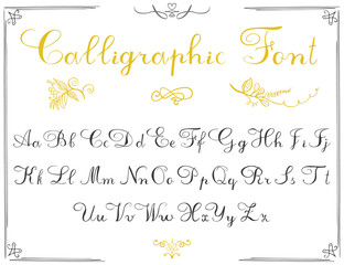Alphabet letters, hand drawn calligraphy font. Vector alphabet. Hand written letters of the alphabet and decoration elements isolated on white background © saint_antonio