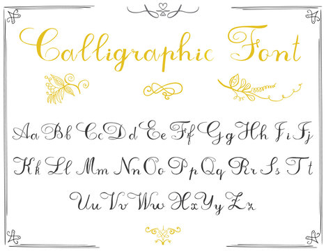 Alphabet letters, hand drawn calligraphy font. Vector alphabet. Hand written letters of the alphabet and decoration elements isolated on white background
