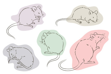 Stock illustration. Outline of the mouse in a different position