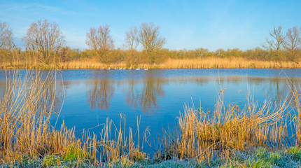 Canal through a frozen landscape in winter