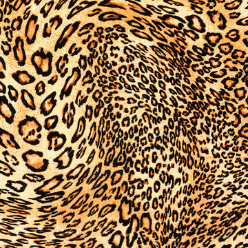 texture of close up print fabric striped leopard