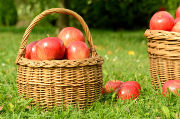 Wicker basket full of red apples