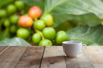 white cup of coffee  on wood table with plantation of coffee tre