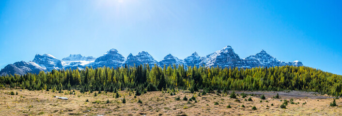 forest in front of the ten peaks of the Valley of the Ten Peaks in the national park of banff in...