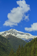 Mountain landscape in summer