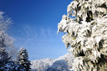 Sehr schönes Winterwunderland