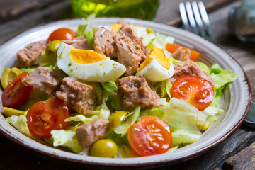 Fresh vegetable salad with tuna