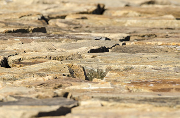 Surface of Fairhaven Dike