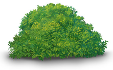 a tree green bush