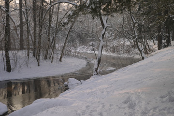 Winter Landscape