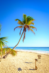 Scenic view of summer beach landscape with palm trees