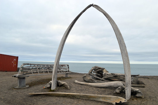 Barrow, Alaska Whale Arch © Tanya