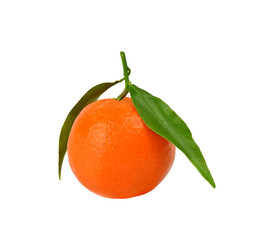  tangerine