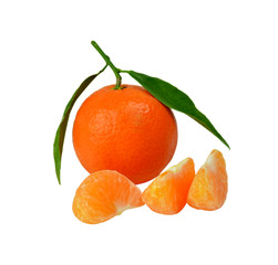 tangerine